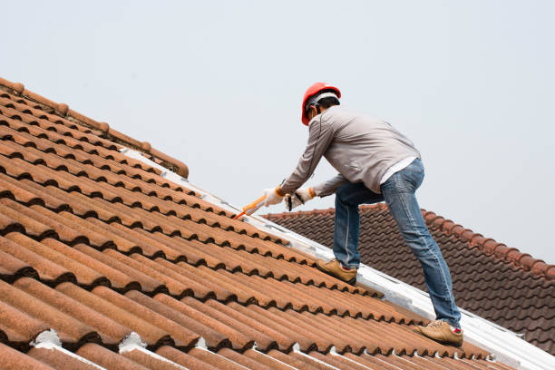 Best Roof Coating and Sealing  in Rock Springs, NM