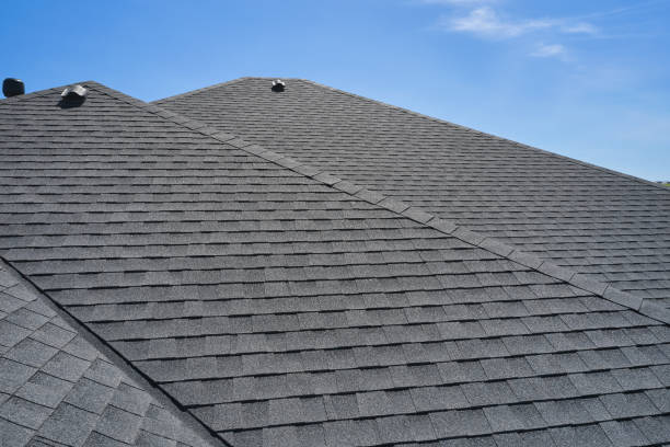 Best Roof Moss and Algae Removal  in Rock Springs, NM